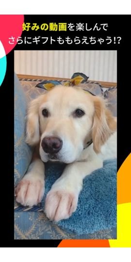 com.ss.android.ugc.tiktok.lite