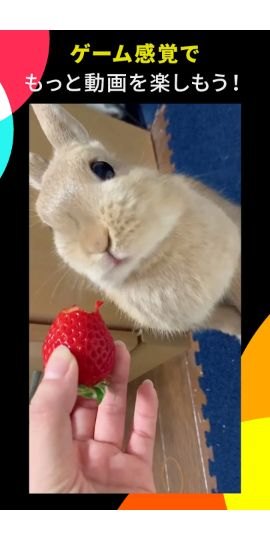 com.ss.android.ugc.tiktok.lite